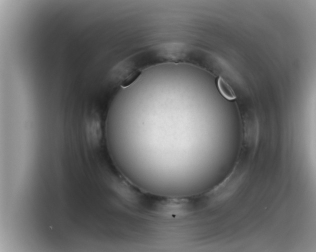 X0000115540128200911131552