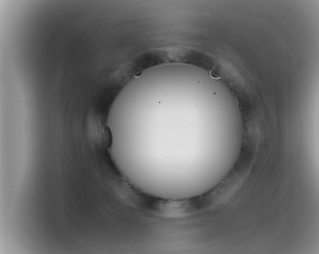 X0000115540129200911131552