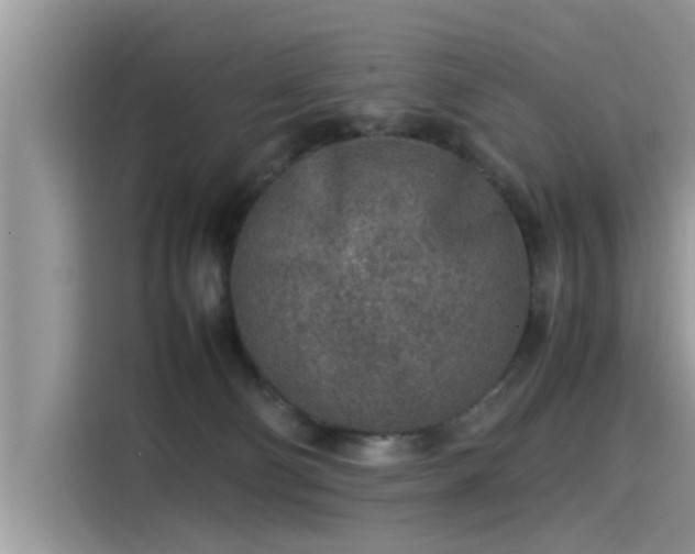 X0000115540130200911131552