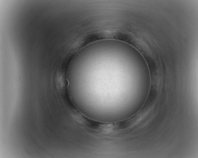 X0000115540131200911131552