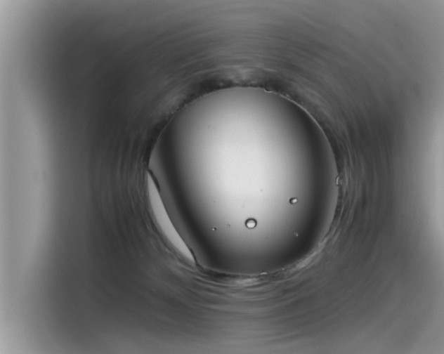 X0000115540132200911131552