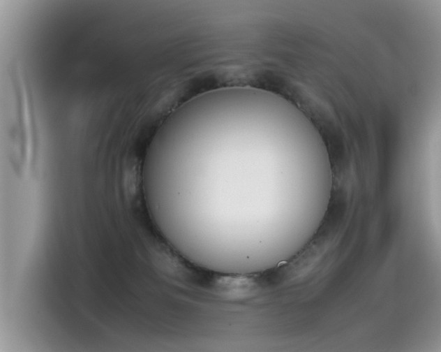 X0000115540133200911131552