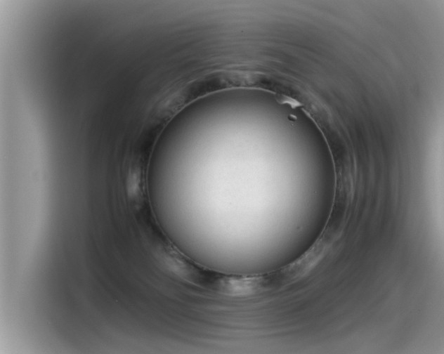 X0000115540134200911131552