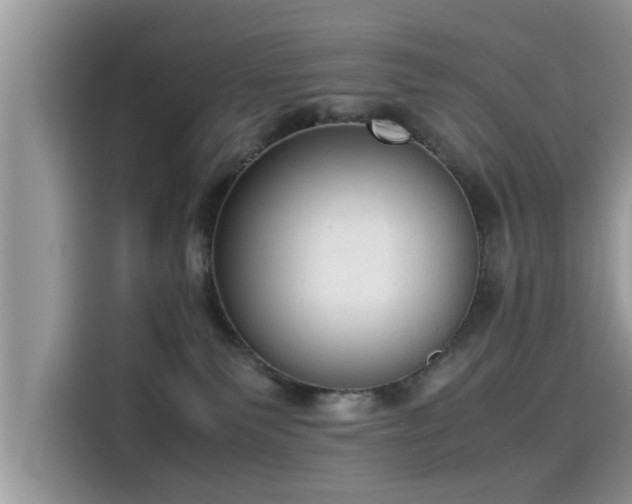 X0000115540135200911131552