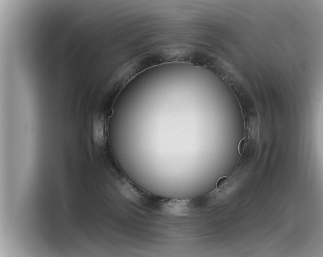 X0000115540138200911131552