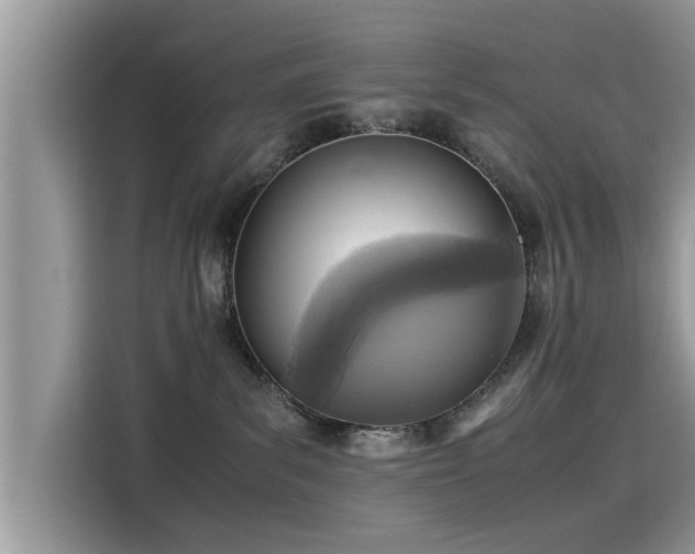 X0000115540139200911131552