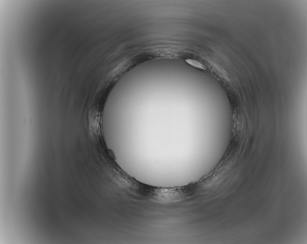 X0000115540141200911131551