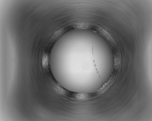 X0000115540142200911131551