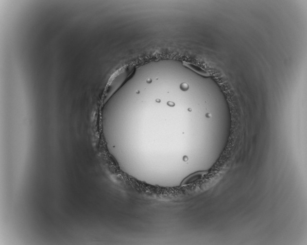 X0000115540144200911131551