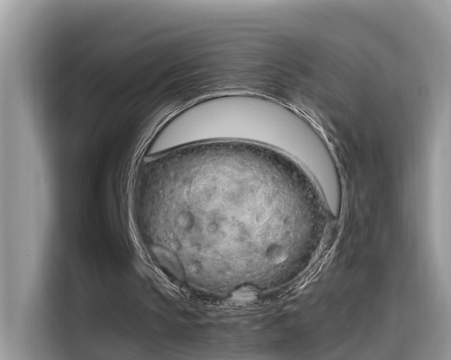 X0000115540145200911131551