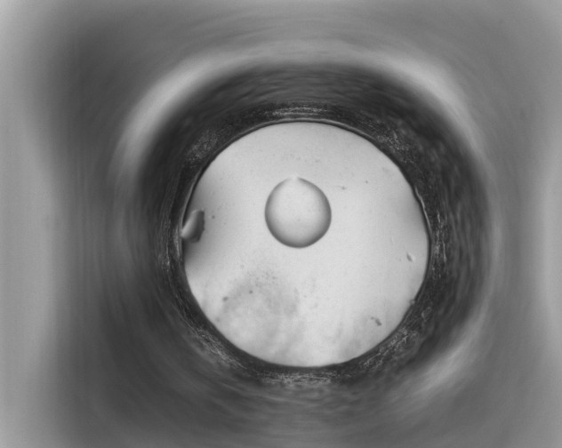 X0000115540146200911131551