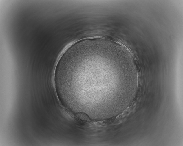 X0000115540147200911131551