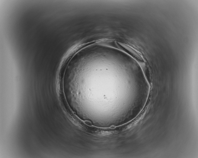 X0000115540149200911131551