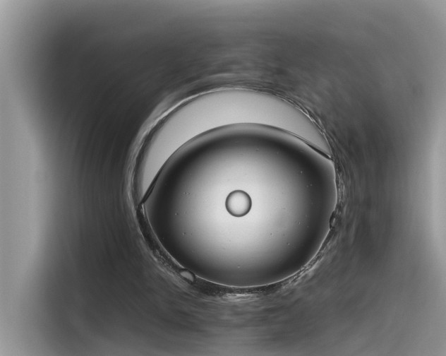 X0000115540150200911131551