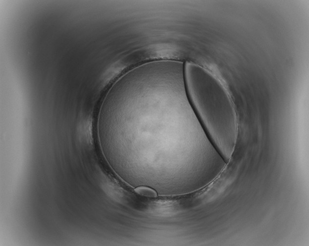 X0000115540154200911131551