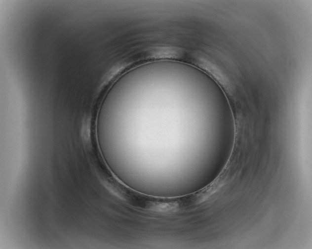 X0000115540155200911131551