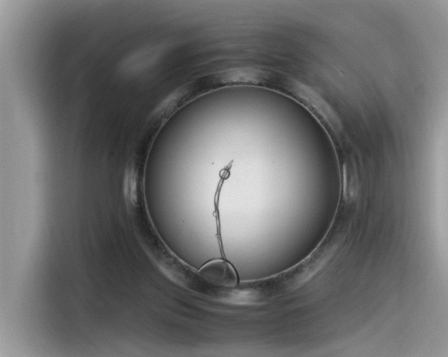 X0000115540157200911131551