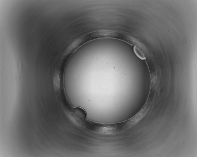 X0000115540158200911131551