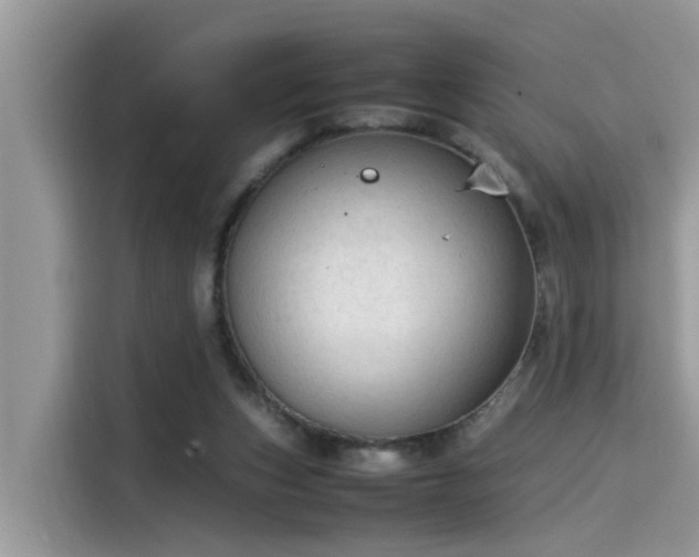 X0000115540159200911131551