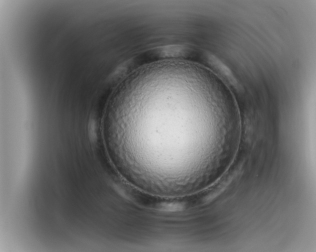 X0000115540161200911131551