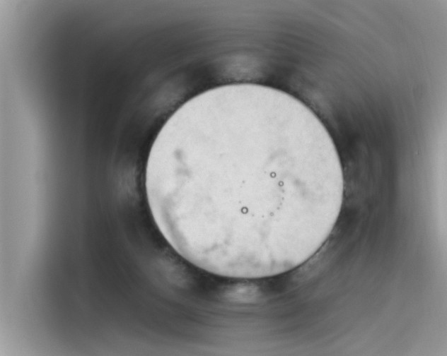 X0000115540162200911131551