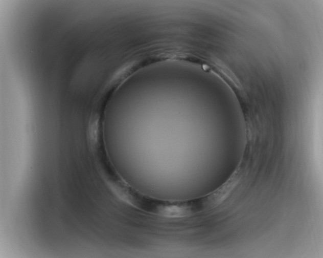 X0000115540163200911131551