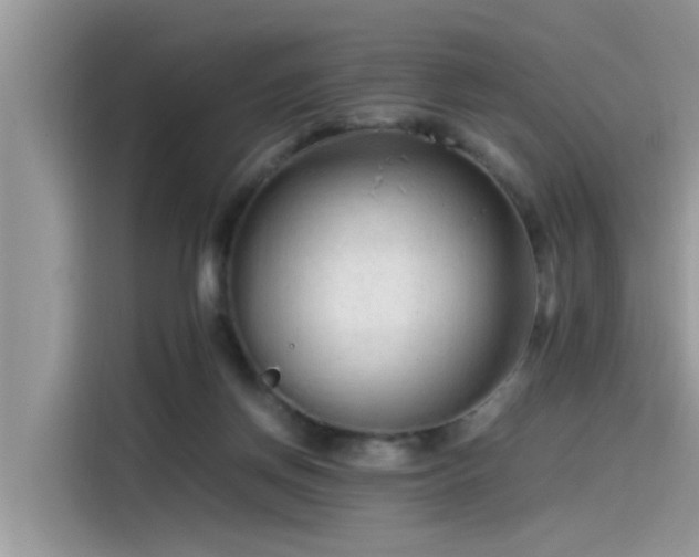 X0000115540166200911131551