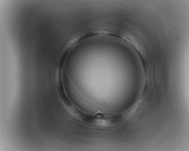 X0000115540167200911131551