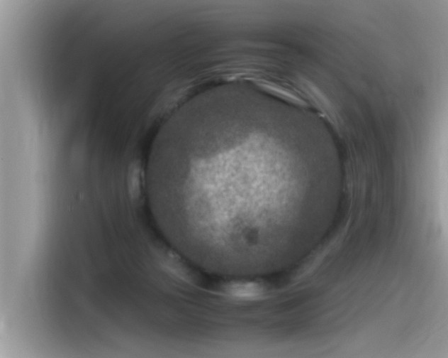 X0000115540169200911131551