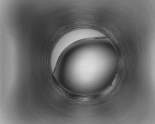 X0000115540170200911131551