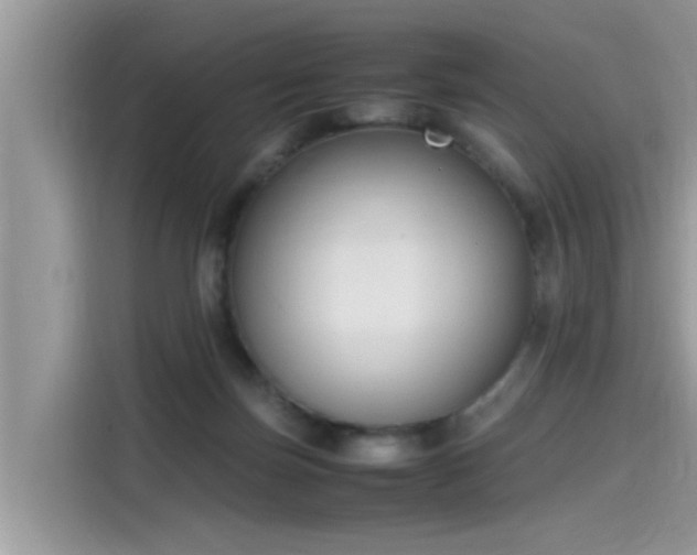 X0000115540171200911131551