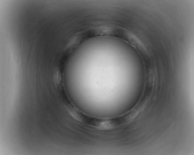 X0000115540173200911131551