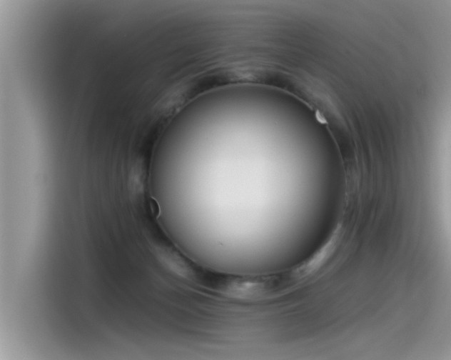 X0000115540174200911131551