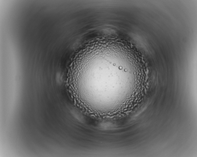 X0000115540177200911131551