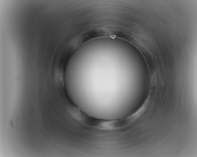 X0000115540178200911131551