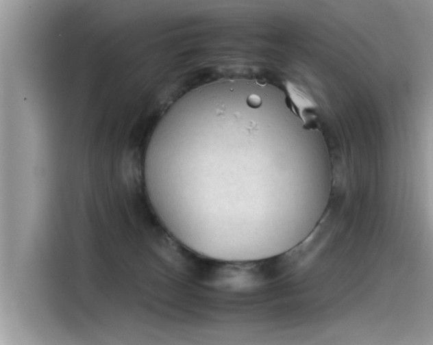 X0000115540179200911131551