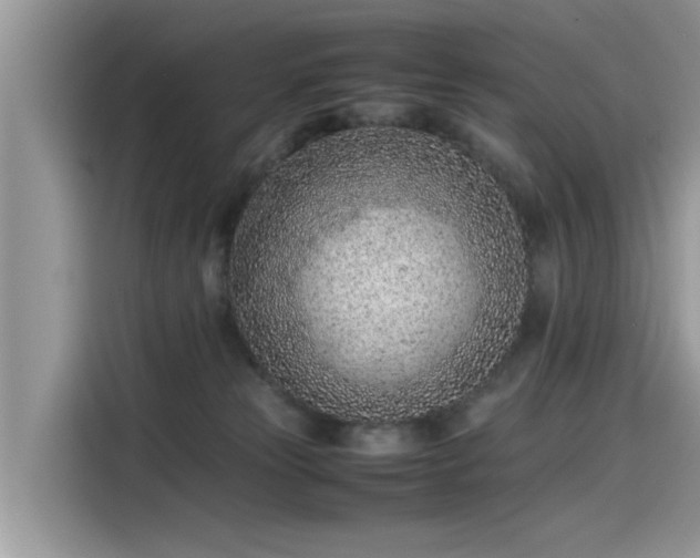 X0000115540181200911131551