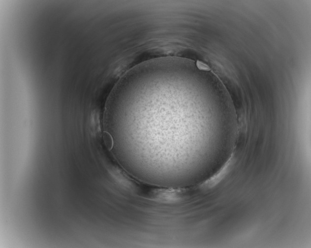 X0000115540182200911131551