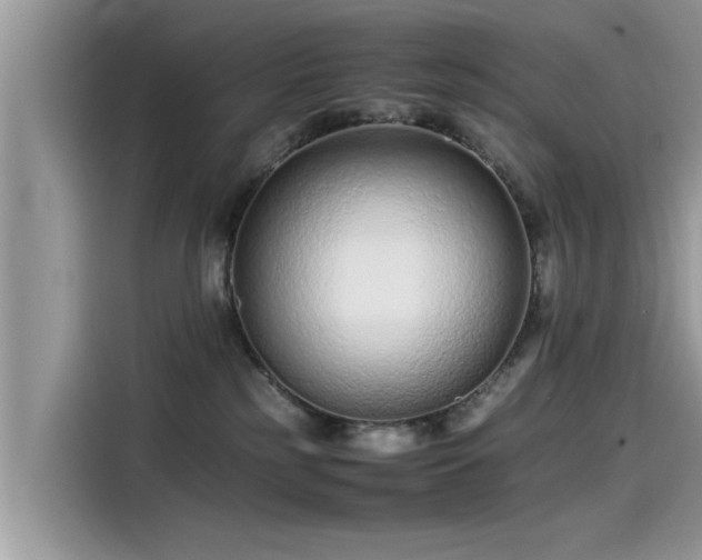 X0000115540185200911131551