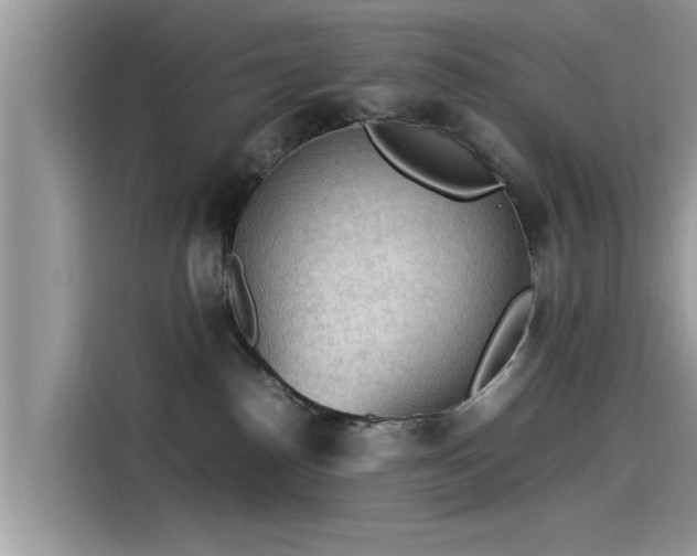 X0000115540186200911131551