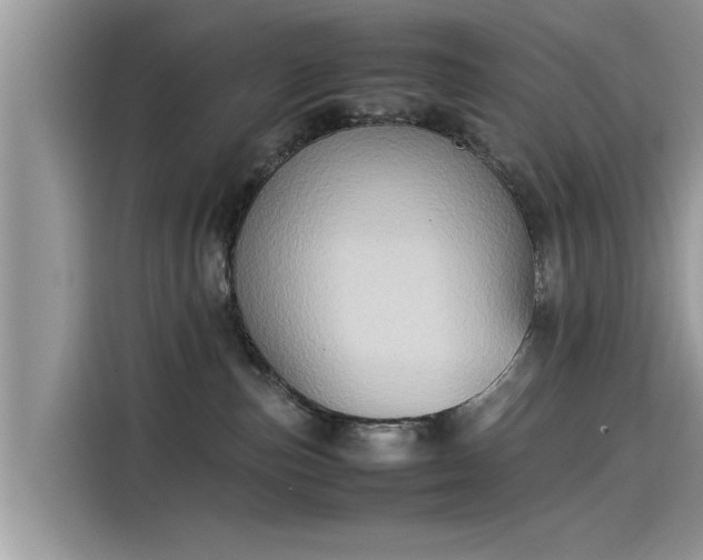 X0000115540187200911131551