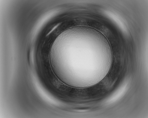 X0000115540189200911131551