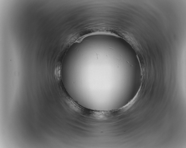 X0000115540190200911131551