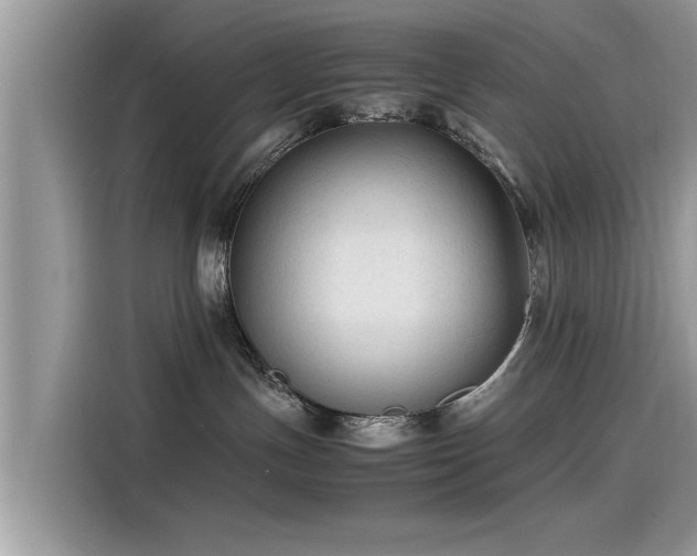 X0000115540191200911131551