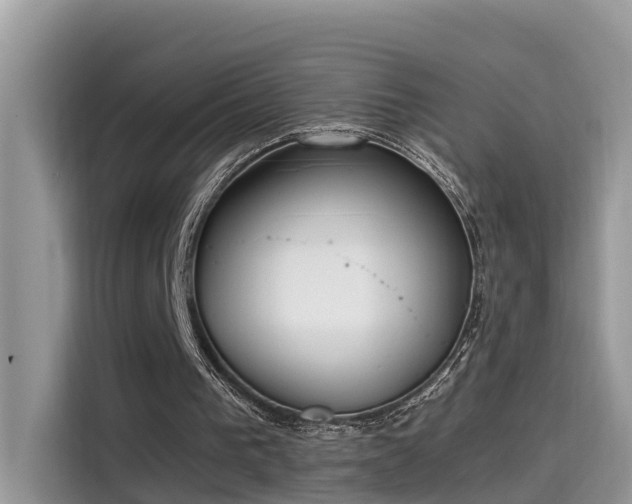 X0000115540193200911131551