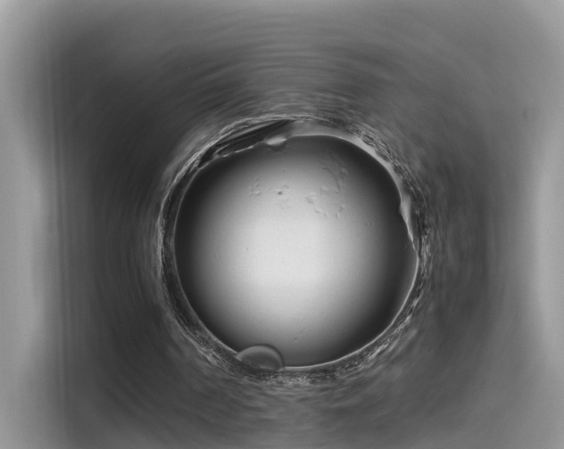 X0000115540194200911131551