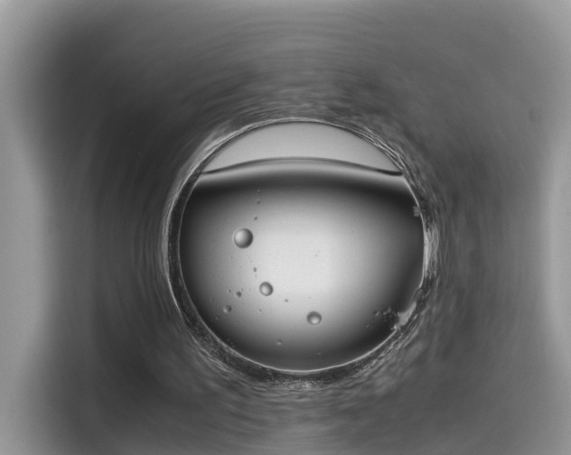 X0000115540195200911131551