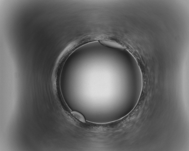 X0000115540197200911131551