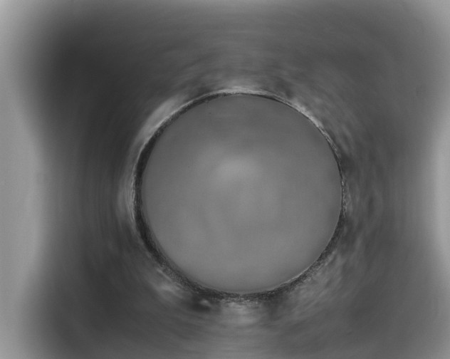 X0000115540199200911131551