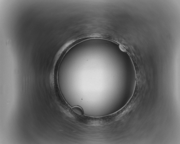 X0000115540200200911131551